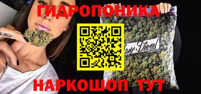 PSILOCYBIN Чебоксары