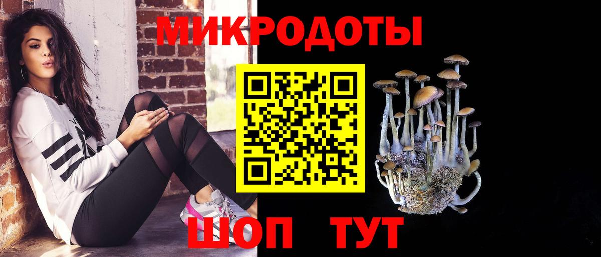 Псилоцибиновые грибы прущие грибы Вязьма
